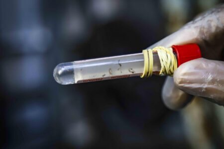 Prefeitura confirma 12ª morte por dengue em Porto Alegre