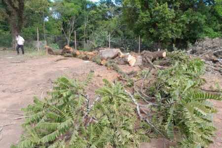 Estudo aponta série de irregularidades ambientais em empreendimento no Jardim Sabará